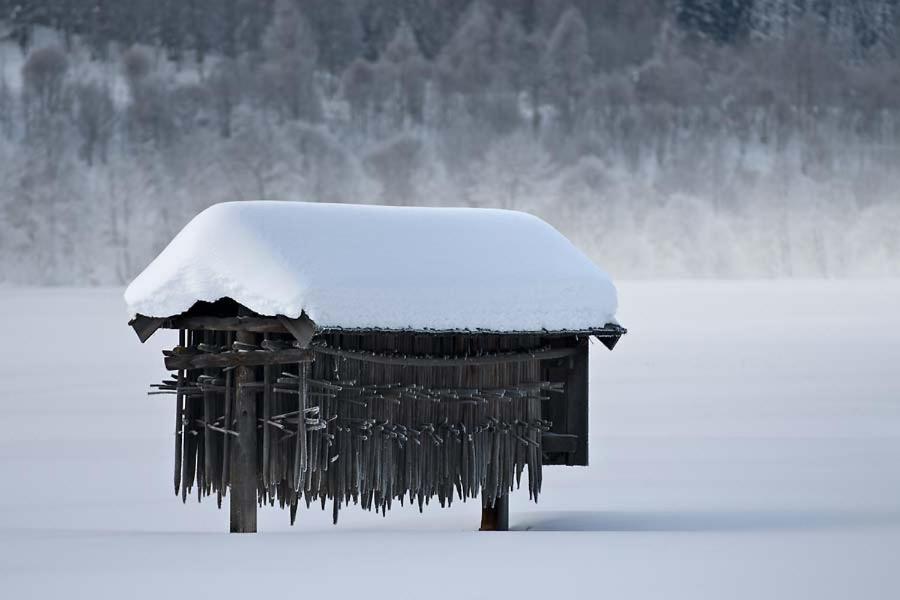 Alpenrose Appartements Burger Evelin Sankt Anton am Arlberg Dış mekan fotoğraf